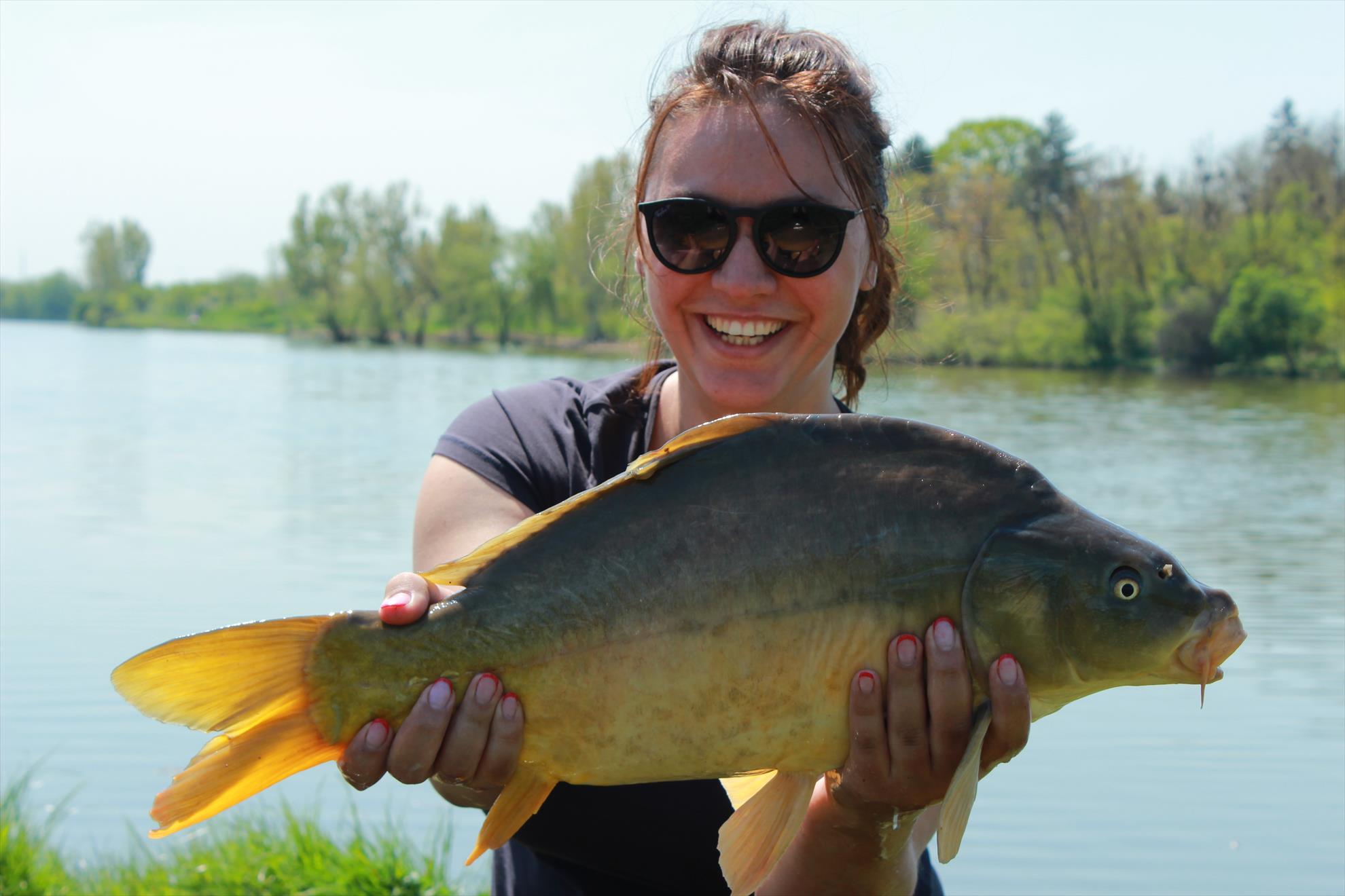 Hermes Peris 25 - 26 aprilie 2015 - img8327.JPG